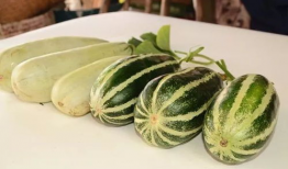 夸克吃网红的瓜,夸克探秘美食江湖